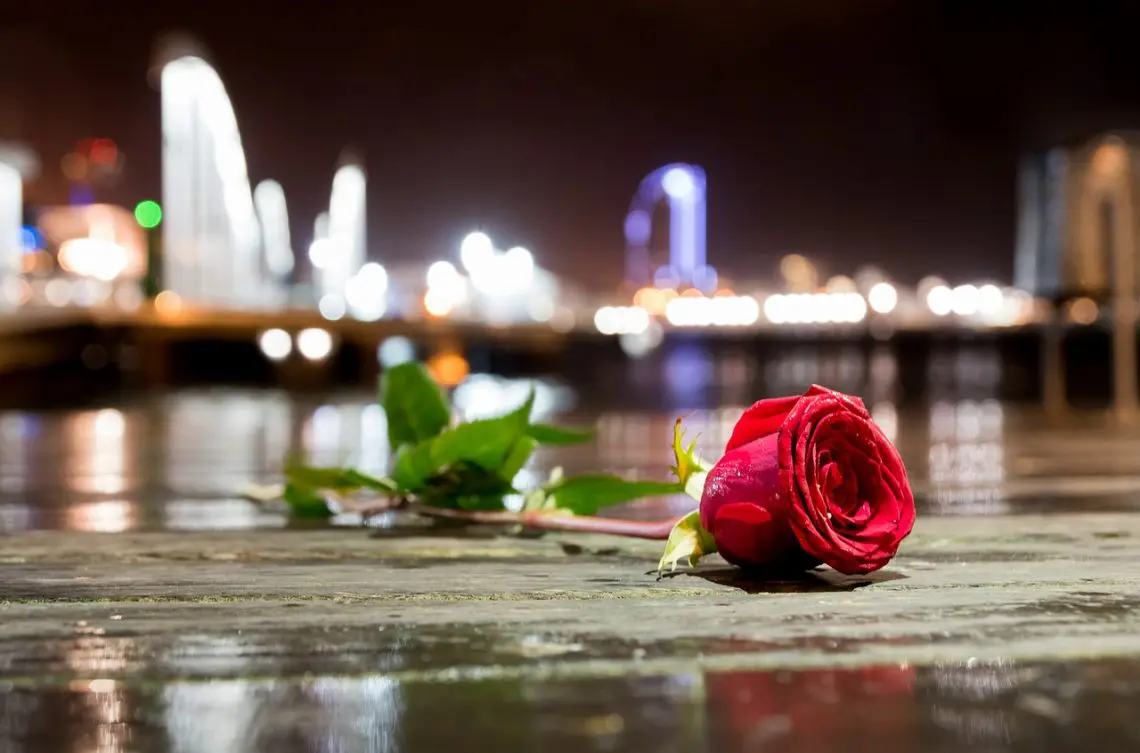 Sant Jordi: de dragones, rosas y literatos